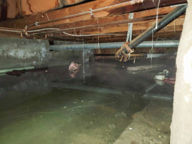 24/7 water damage repair in Herriman, UT