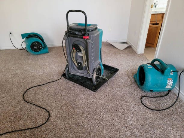 Best Sewage cleanup and water damage restoration  in Herriman, UT