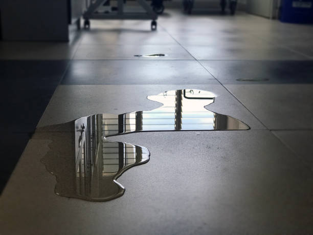 Best 24/7 water damage repair  in Herriman, UT