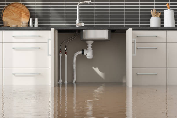 Best Professional water damage repair  in Herriman, UT