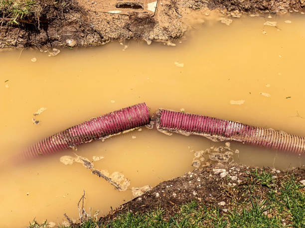 Reliable Herriman, UT Water damage restoration Solutions